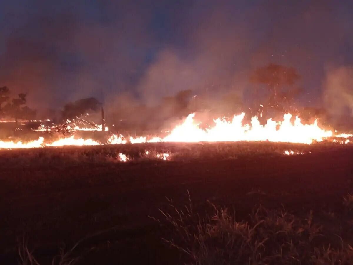 Imagem de compartilhamento para o artigo PERIGO: Incêndio destrói 200 hectares de 5 fazendas da região; veja fotos da MS Todo dia